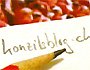 www.konzilsblog.ch